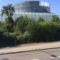 EU Parlament_137