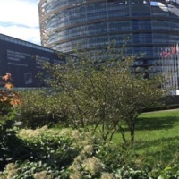 EU Parlament_138